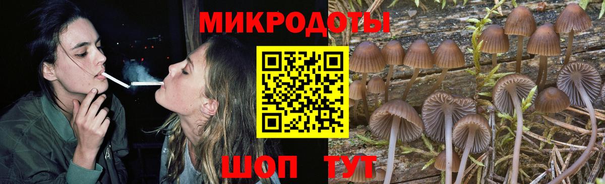Псилоцибиновые грибы Psilocybine cubensis Корсаков